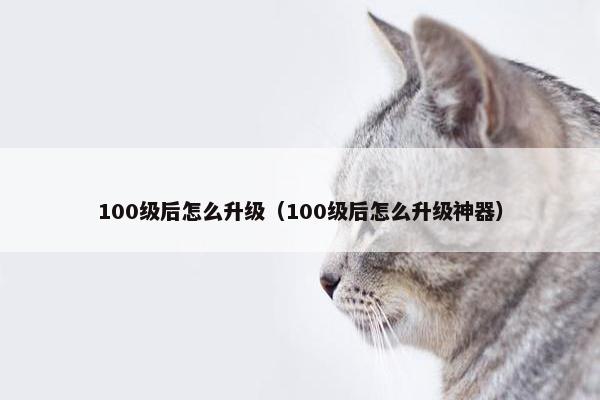 100级后怎么升级（100级后怎么升级神器）