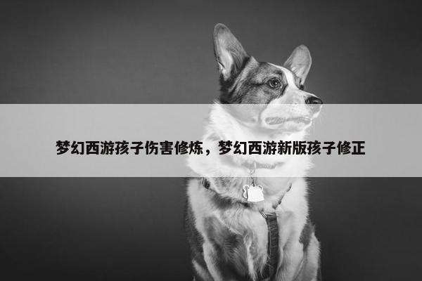 梦幻西游孩子伤害修炼，梦幻西游新版孩子修正