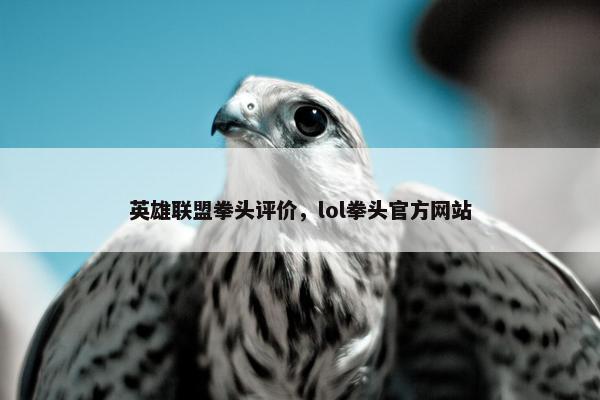 英雄联盟拳头评价，lol拳头官方网站