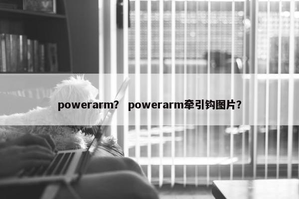 powerarm？ powerarm牵引钩图片？