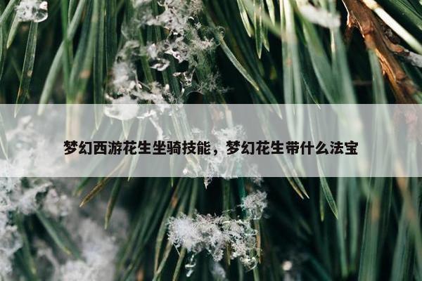 梦幻西游花生坐骑技能，梦幻花生带什么法宝