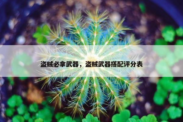 盗贼必拿武器，盗贼武器搭配评分表
