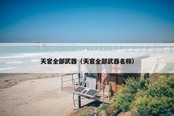 天官全部武器（天官全部武器名称）