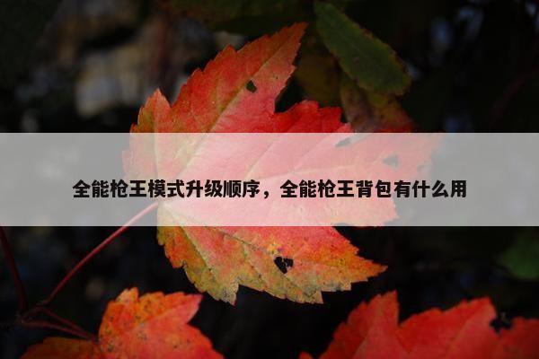 全能枪王模式升级顺序，全能枪王背包有什么用