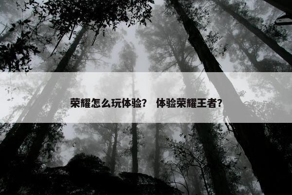 荣耀怎么玩体验？ 体验荣耀王者？