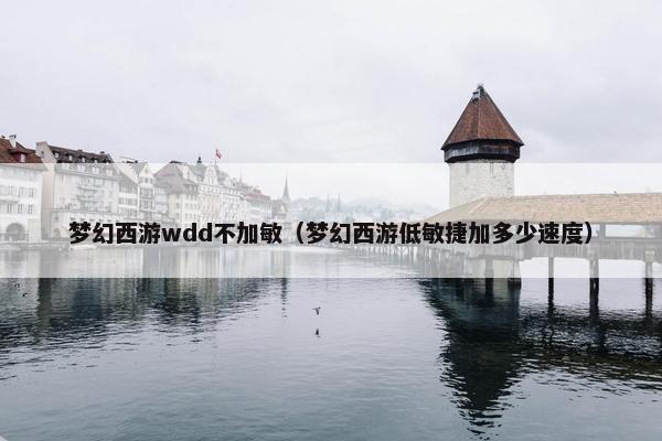 梦幻西游wdd不加敏(梦幻西游低敏捷加多少速度) 梦幻西游wdd不加敏(梦幻西游低敏捷加多少速度)