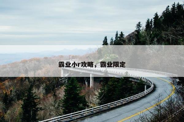 霸业小r攻略，霸业限定