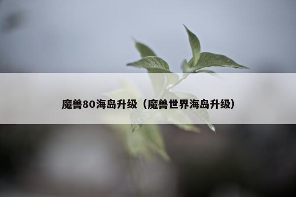 魔兽80海岛升级（魔兽世界海岛升级）