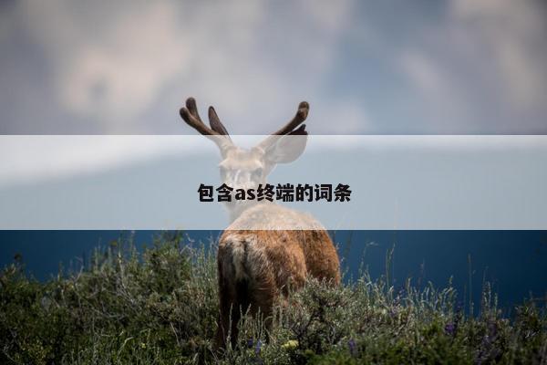 包含as终端的词条