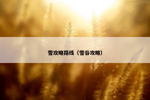 雪攻略路线（雪谷攻略）