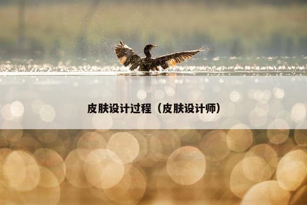 皮肤设计过程（皮肤设计师）