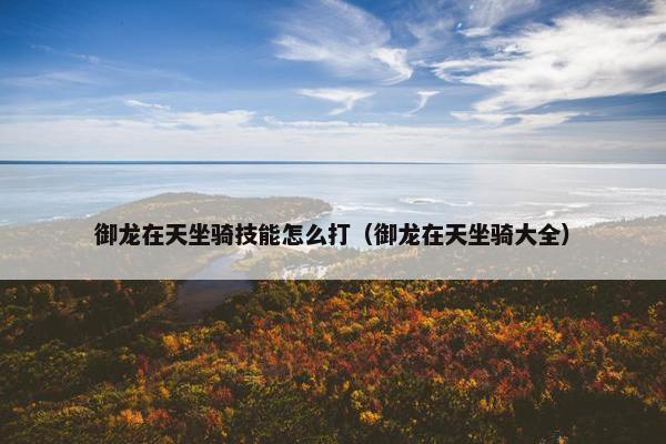 御龙在天坐骑技能怎么打（御龙在天坐骑大全）