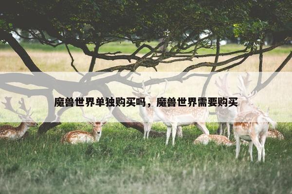 魔兽世界单独购买吗，魔兽世界需要购买