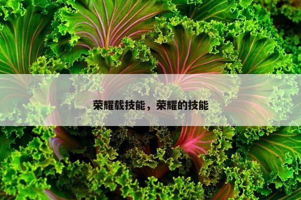 荣耀载技能，荣耀的技能