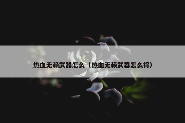热血无赖武器怎么（热血无赖武器怎么得）