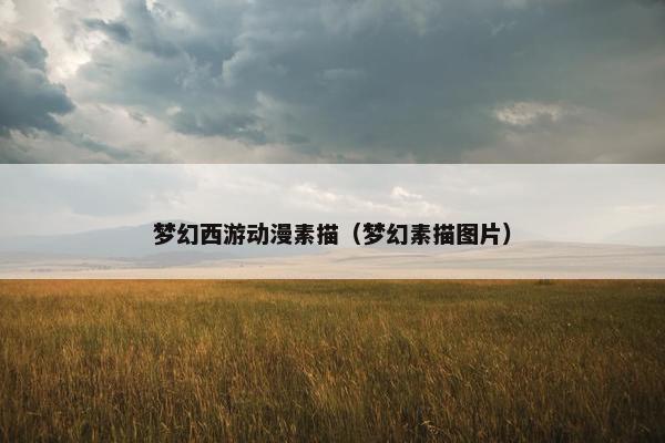 梦幻西游动漫素描（梦幻素描图片）