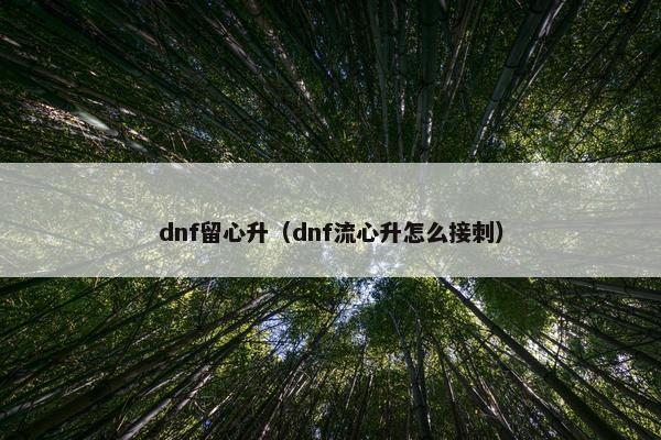 dnf留心升（dnf流心升怎么接刺）