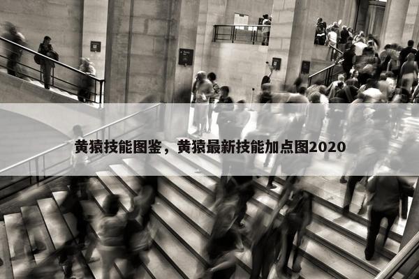 黄猿技能图鉴，黄猿最新技能加点图2020