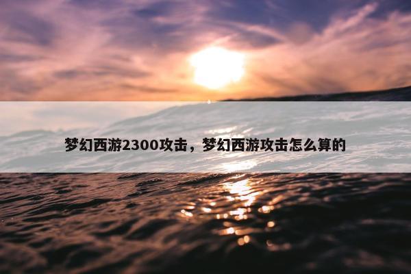 梦幻西游2300攻击，梦幻西游攻击怎么算的