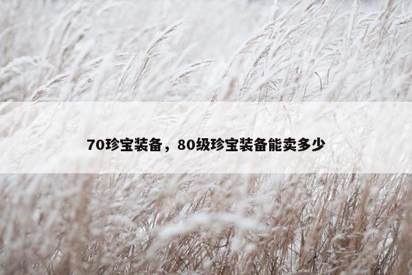 70珍宝装备，80级珍宝装备能卖多少