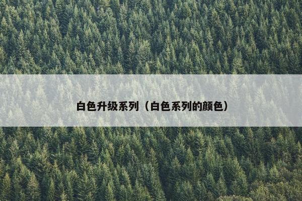 白色升级系列（白色系列的颜色）