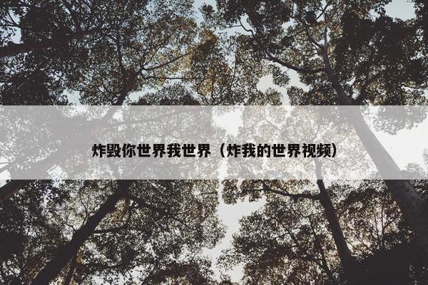 炸毁你世界我世界（炸我的世界视频）