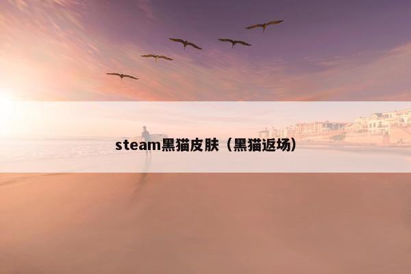 steam黑猫皮肤（黑猫返场）
