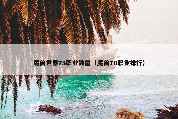 魔兽世界73职业数量（魔兽70职业排行）