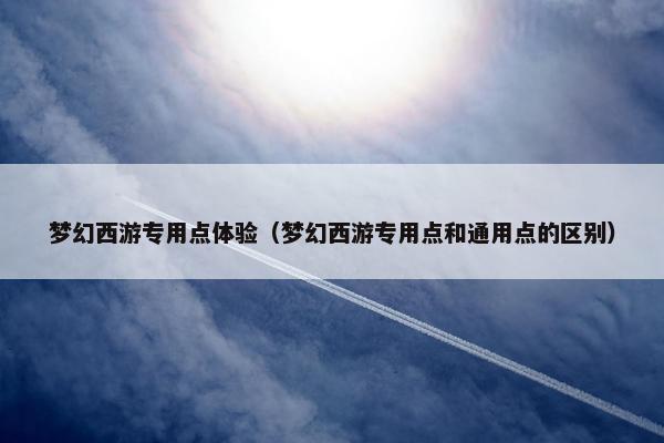 梦幻西游专用点体验（梦幻西游专用点和通用点的区别）