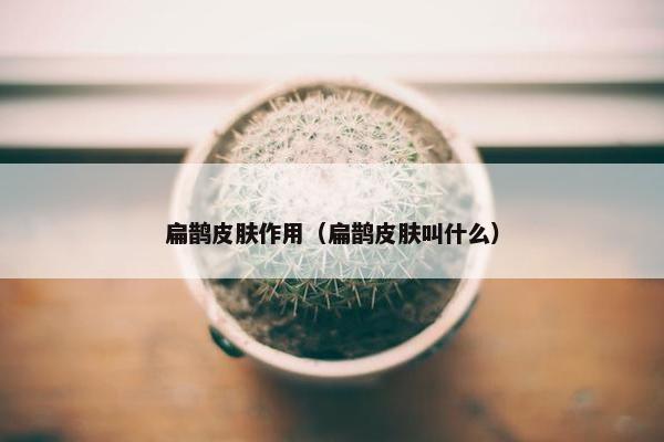 扁鹊皮肤作用（扁鹊皮肤叫什么）