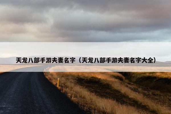 天龙八部手游夫妻名字（天龙八部手游夫妻名字大全）
