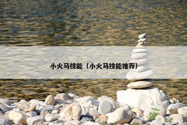小火马技能（小火马技能推荐）
