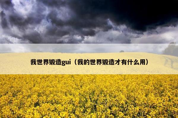 我世界锻造gui（我的世界锻造才有什么用）