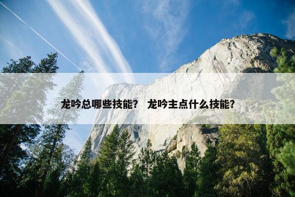 龙吟总哪些技能？ 龙吟主点什么技能？