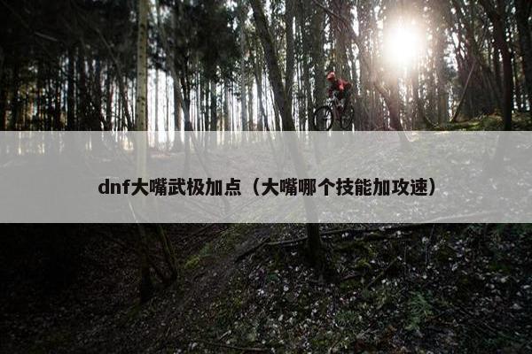 dnf大嘴武极加点（大嘴哪个技能加攻速）