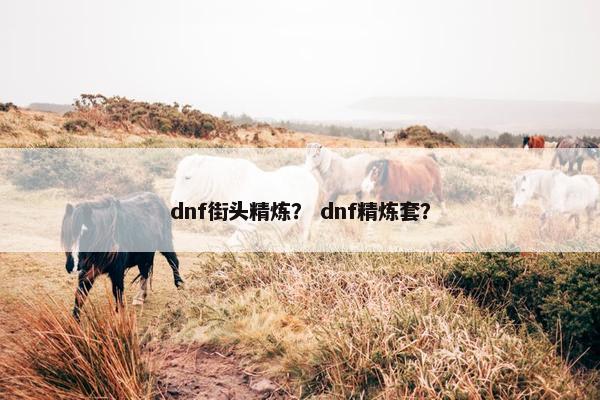 dnf街头精炼？ dnf精炼套？