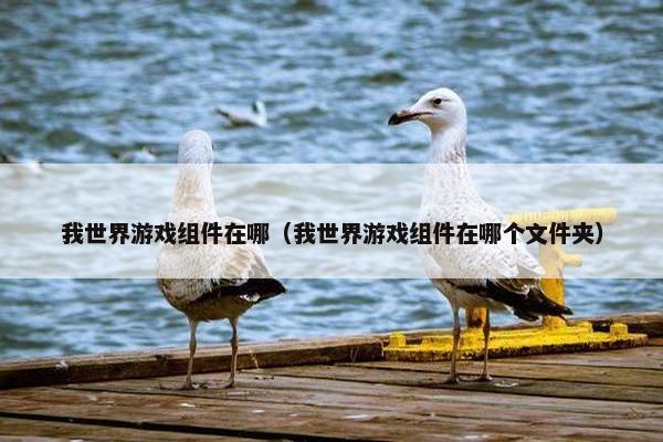 我世界游戏组件在哪（我世界游戏组件在哪个文件夹）