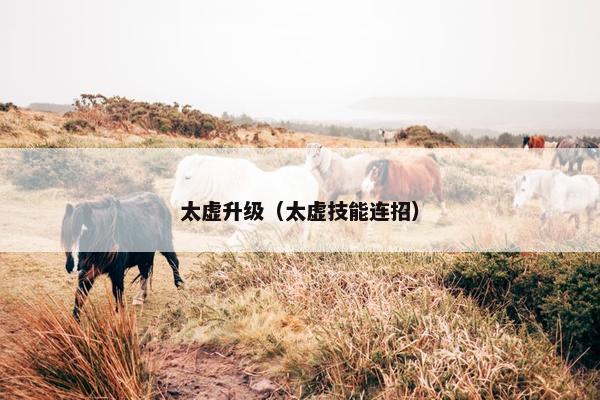 太虚升级（太虚技能连招）