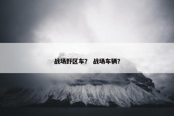 战场野区车？ 战场车辆？