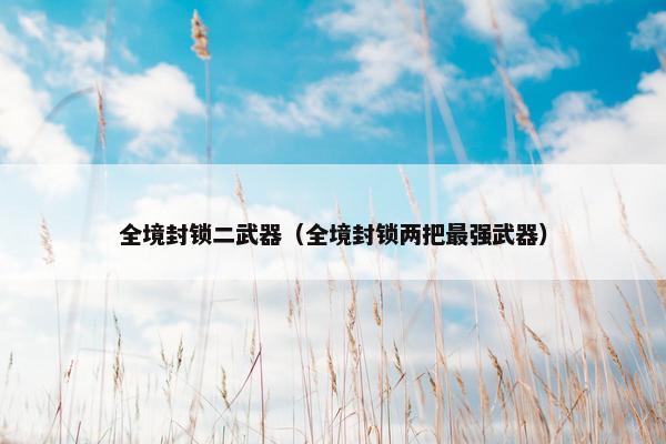 全境封锁二武器（全境封锁两把最强武器）