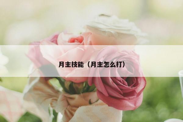 月主技能（月主怎么打）