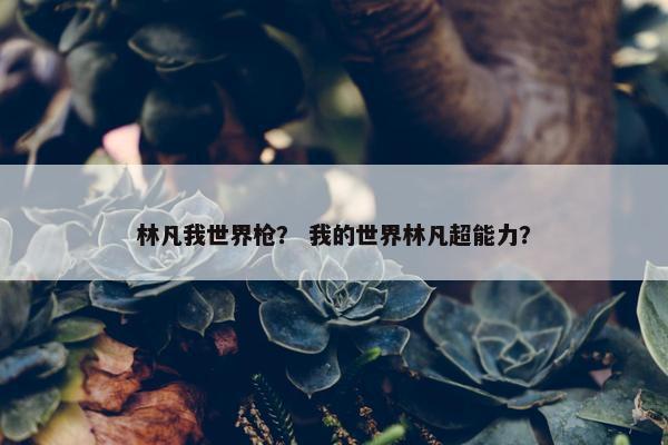 林凡我世界枪？ 我的世界林凡超能力？