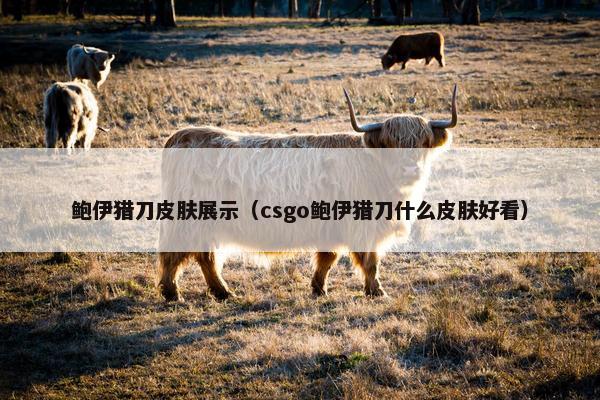 鲍伊猎刀皮肤展示（csgo鲍伊猎刀什么皮肤好看）