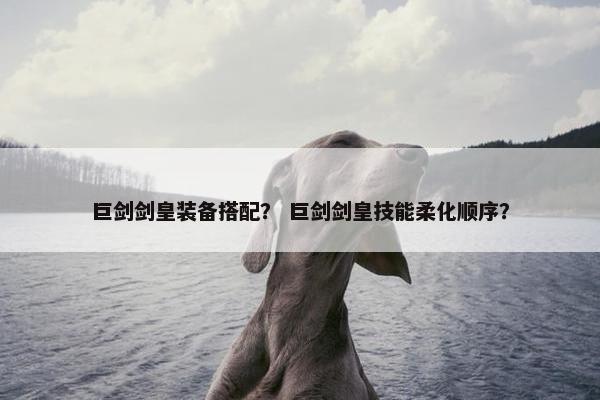 巨剑剑皇装备搭配？ 巨剑剑皇技能柔化顺序？