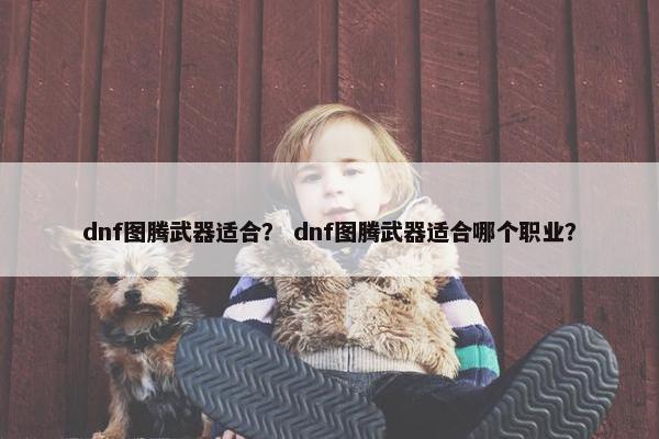 dnf图腾武器适合? dnf图腾武器适合哪个职业? dnf图腾武器适合? dnf图腾武器适合哪个职业?