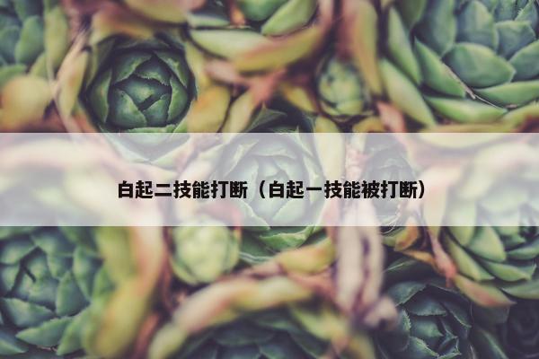 白起二技能打断（白起一技能被打断）