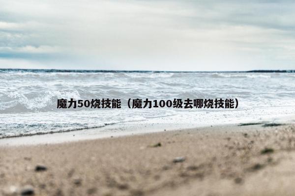 魔力50烧技能（魔力100级去哪烧技能）