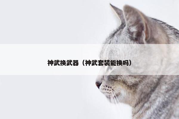 神武换武器（神武套装能换吗）