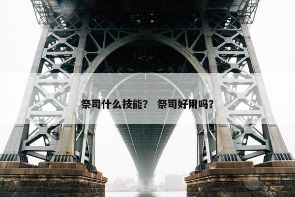 祭司什么技能？ 祭司好用吗？
