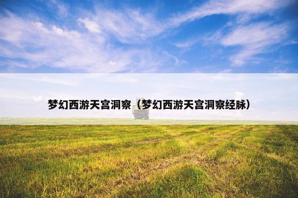 梦幻西游天宫洞察（梦幻西游天宫洞察经脉）